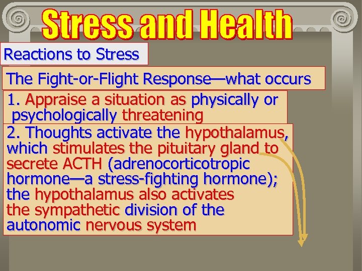 Reactions to Stress The Fight-or-Flight Response—what occurs 1. Appraise a situation as physically or