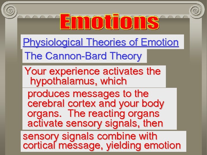 Physiological Theories of Emotion The Cannon-Bard Theory Your experience activates the hypothalamus, which produces