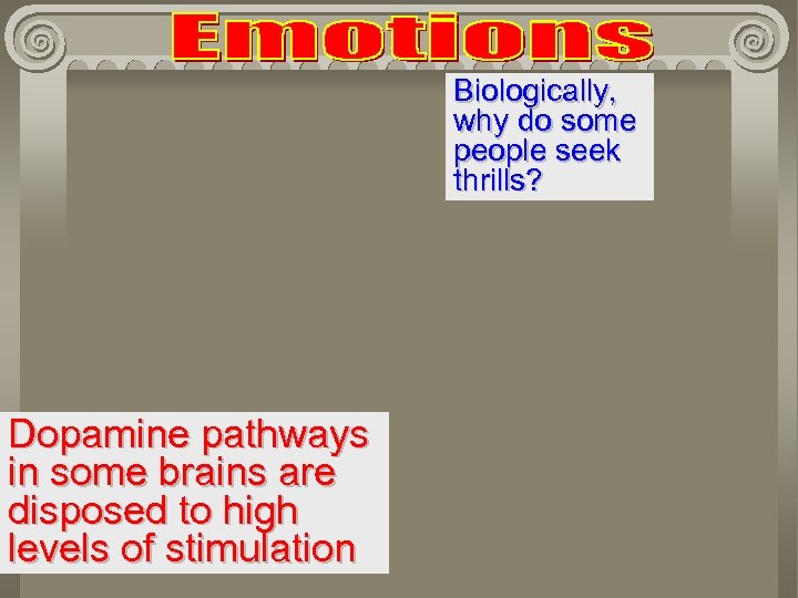 Biologically, why do some people seek thrills? Dopamine pathways in some brains are disposed
