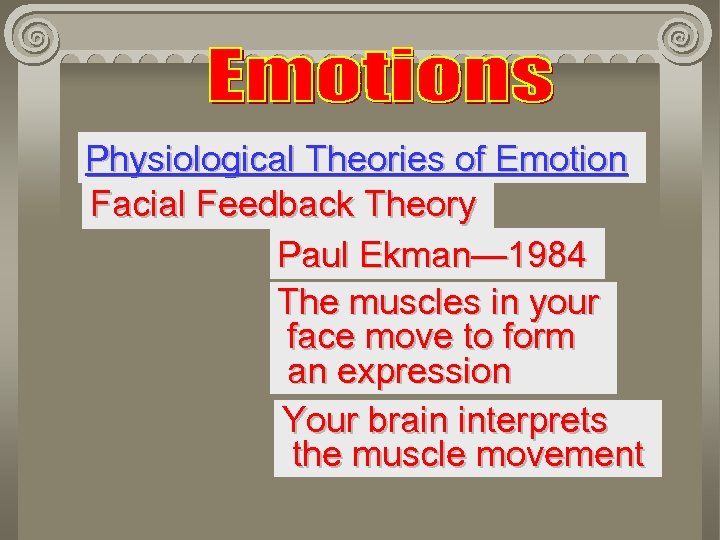 Physiological Theories of Emotion Facial Feedback Theory Paul Ekman— 1984 The muscles in your