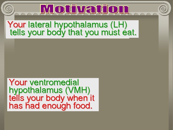Your lateral hypothalamus (LH) tells your body that you must eat. Your ventromedial hypothalamus