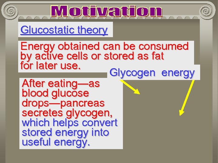 Glucostatic theory Energy obtained can be consumed by active cells or stored as fat