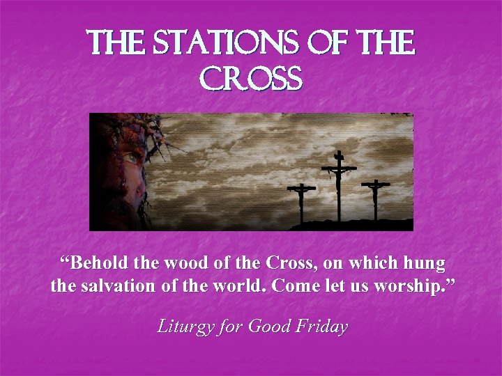 The Stations of the Cross “Behold the wood of the Cross, on which hung