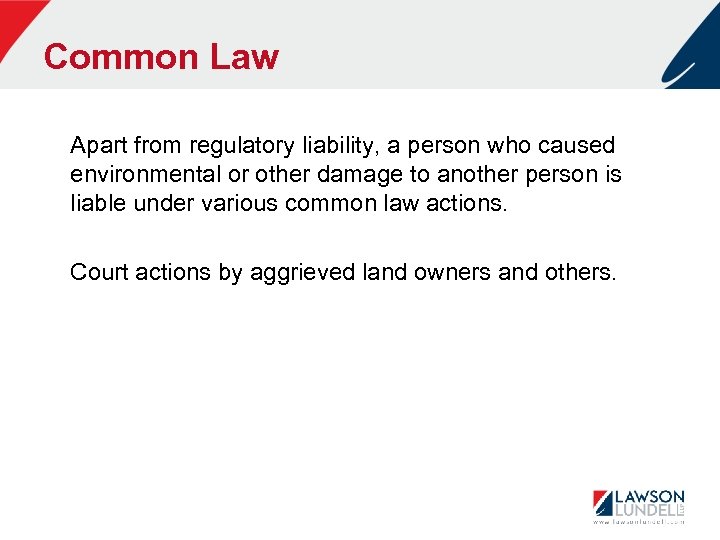 Common Law Apart from regulatory liability, a person who caused environmental or other damage