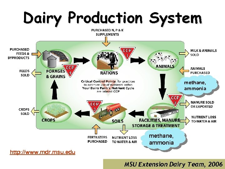 Dairy Production System methane, ammonia http: //www. mdr. msu. edu MSU Extension Dairy Team,