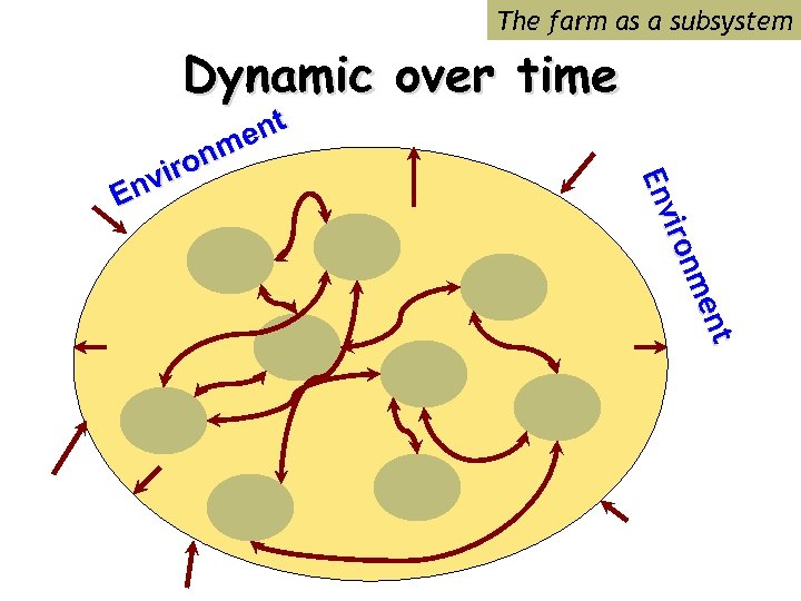 The farm as a subsystem Dynamic over time nt ent me nm iro n