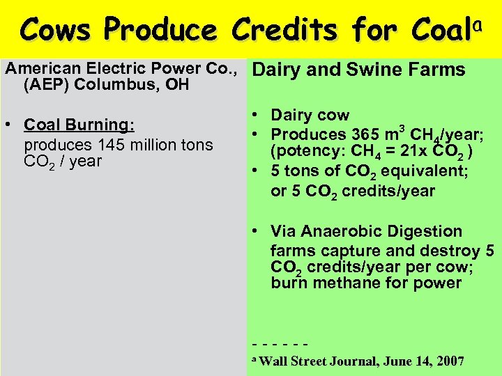 Cows Produce Credits for Coala American Electric Power Co. , Dairy and Swine Farms