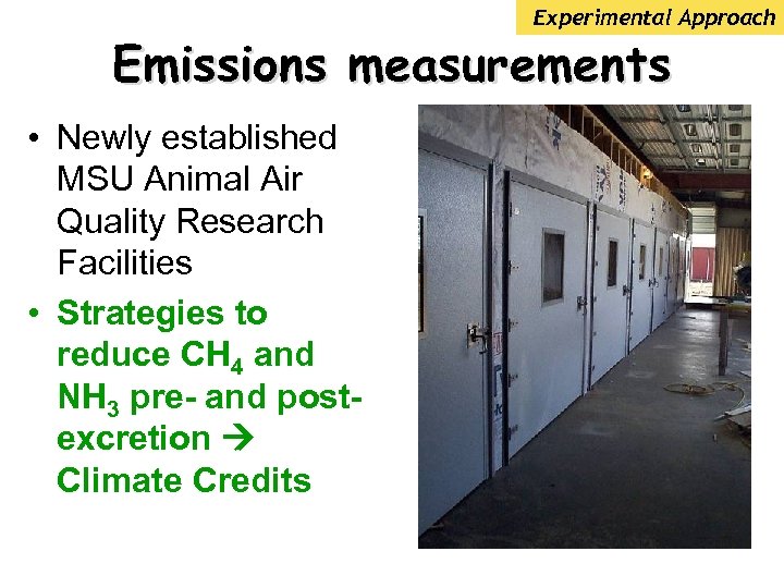 Experimental Approach Emissions measurements • Newly established MSU Animal Air Quality Research Facilities •