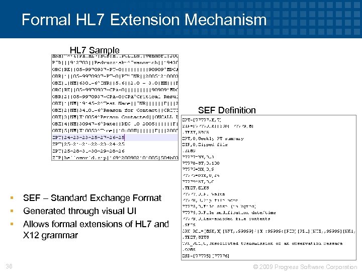 Formal HL 7 Extension Mechanism HL 7 Sample SEF Definition § § § 36