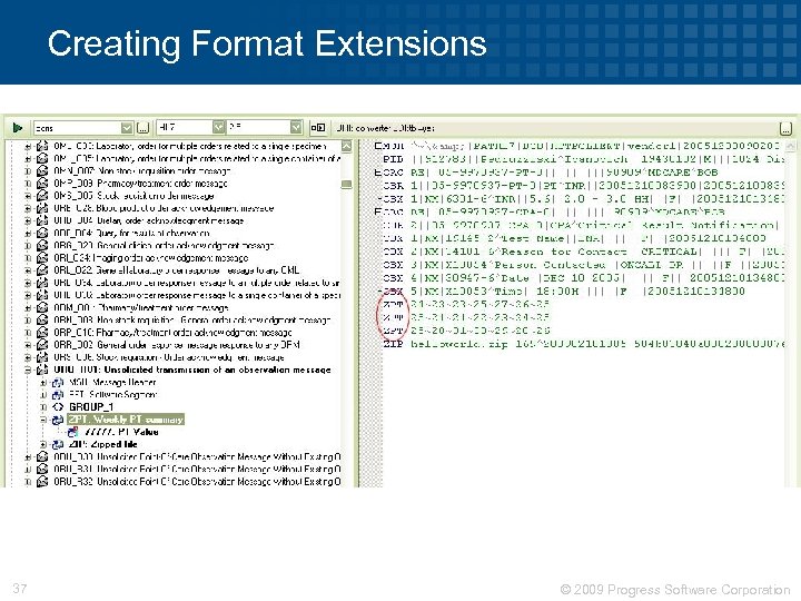 Creating Format Extensions 37 © 2009 Progress Software Corporation 