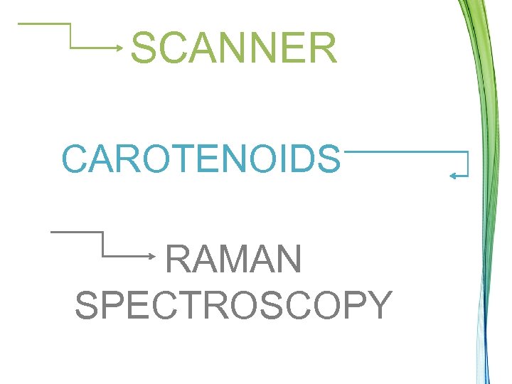 SCANNER CAROTENOIDS RAMAN SPECTROSCOPY 