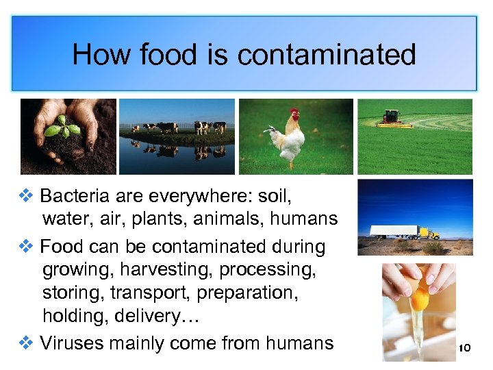 How food is contaminated v Bacteria are everywhere: soil, water, air, plants, animals, humans