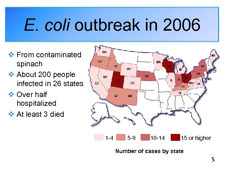 E. coli outbreak in 2006 v From contaminated spinach v About 200 people infected
