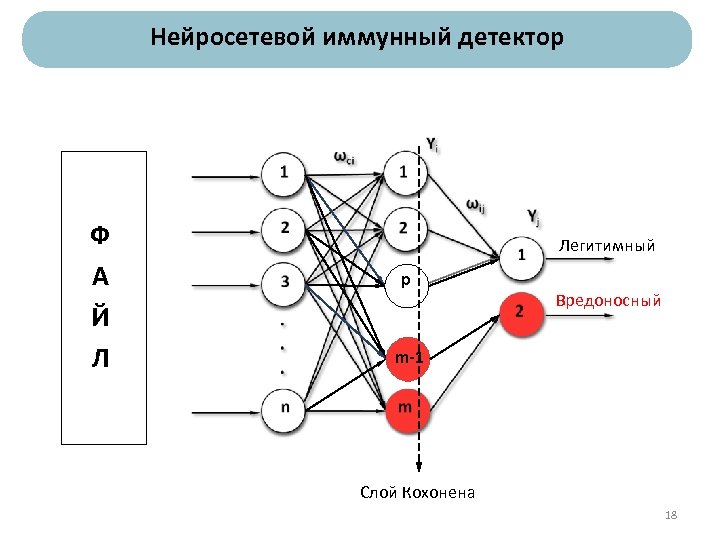 Нейросетевой иммунный детектор Ф А Й Л Легитимный p Вредоносный m-1 Слой Кохонена 18