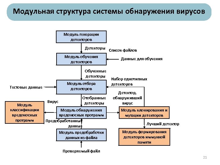 Модульная структура системы обнаружения вирусов Модуль генерации детекторов Детекторы Модуль обучения детекторов Обученные детекторы