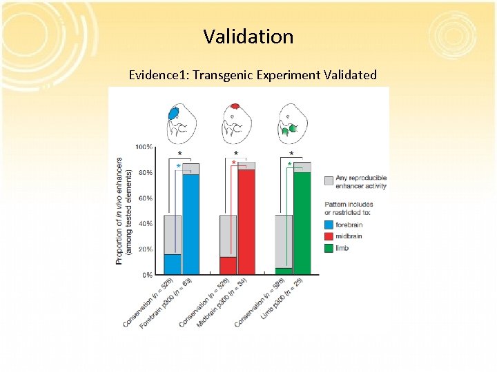 Validation Evidence 1: Transgenic Experiment Validated 