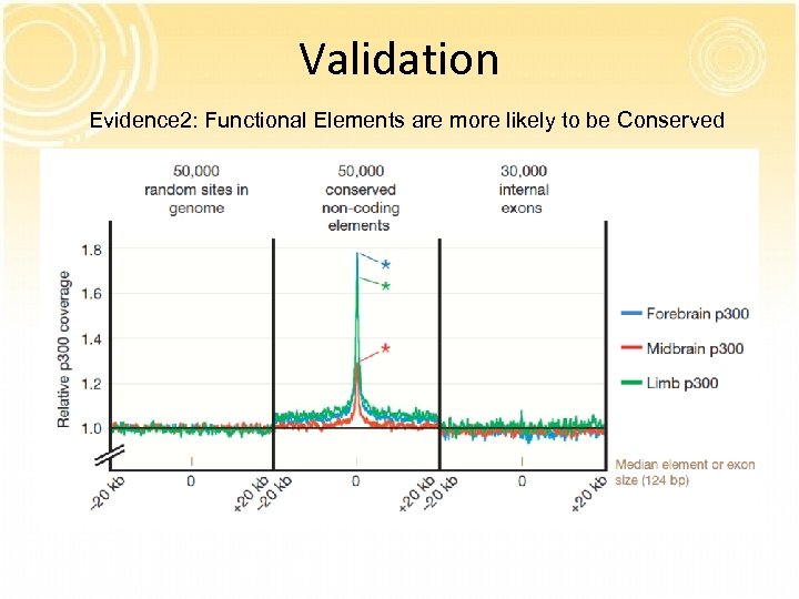 Validation Evidence 2: Functional Elements are more likely to be Conserved 