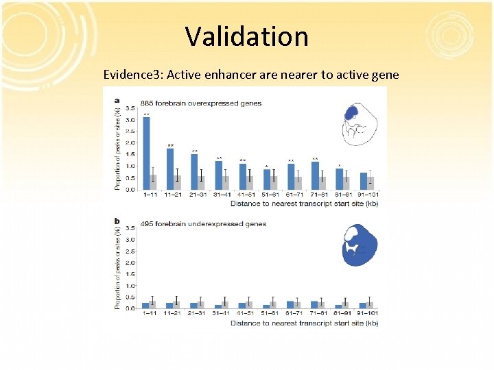 Validation Evidence 3: Active enhancer are nearer to active gene 