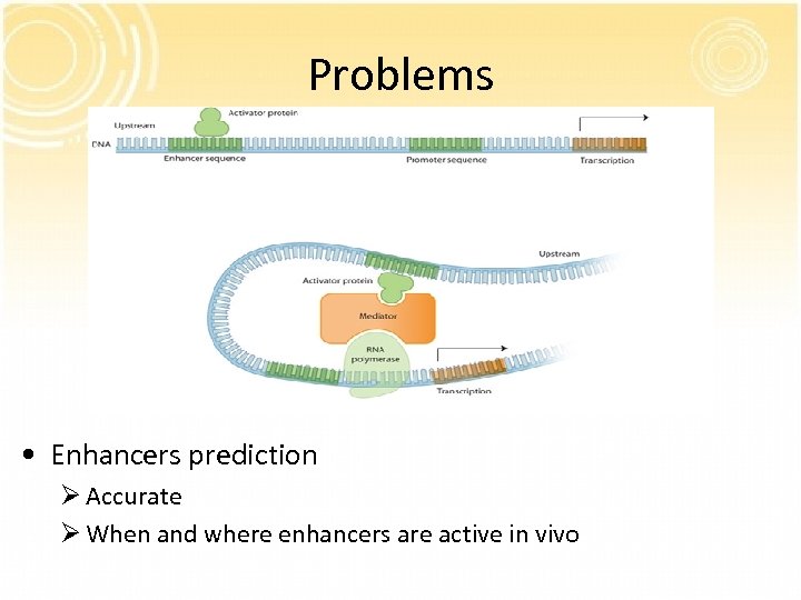 Problems • Enhancers prediction Ø Accurate Ø When and where enhancers are active in