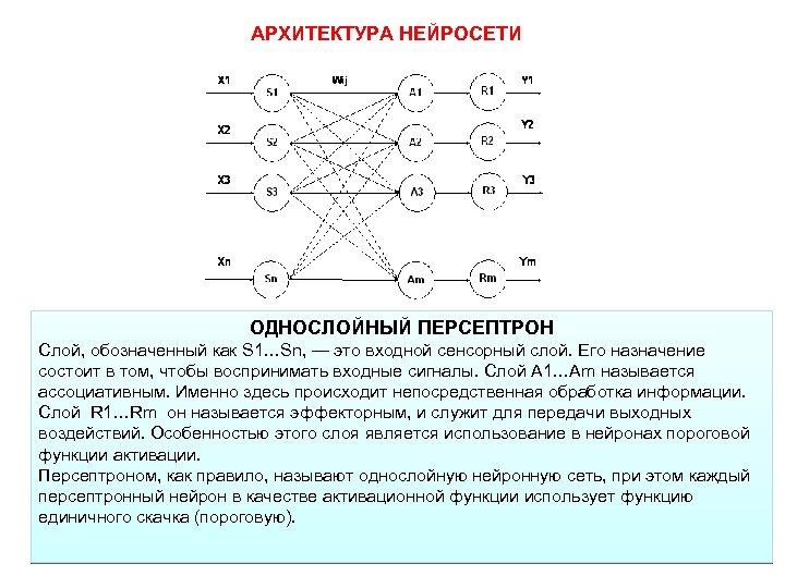 Название структуры персептрона представленной на рисунке