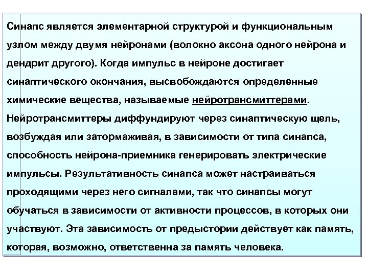 Синапс является элементарной структурой и функциональным узлом между двумя нейронами (волокно аксона одного нейрона