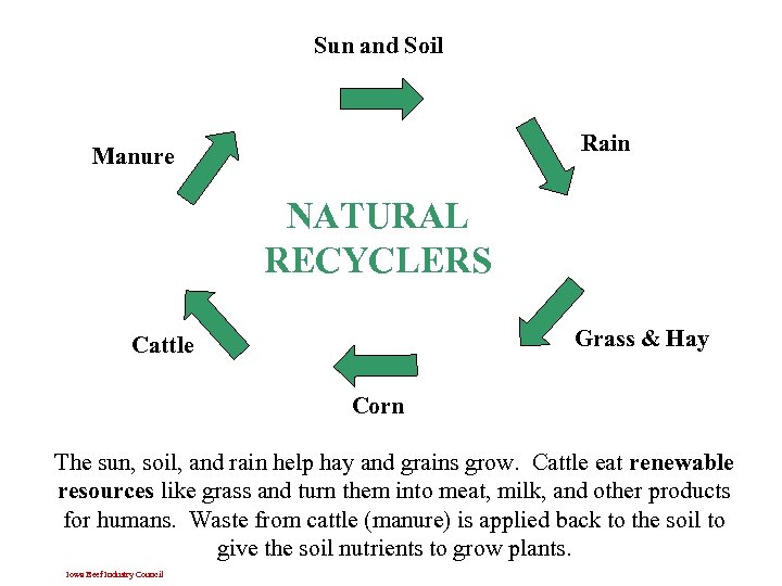 Sun and Soil Rain Manure NATURAL RECYCLERS Grass & Hay Cattle Corn The sun,