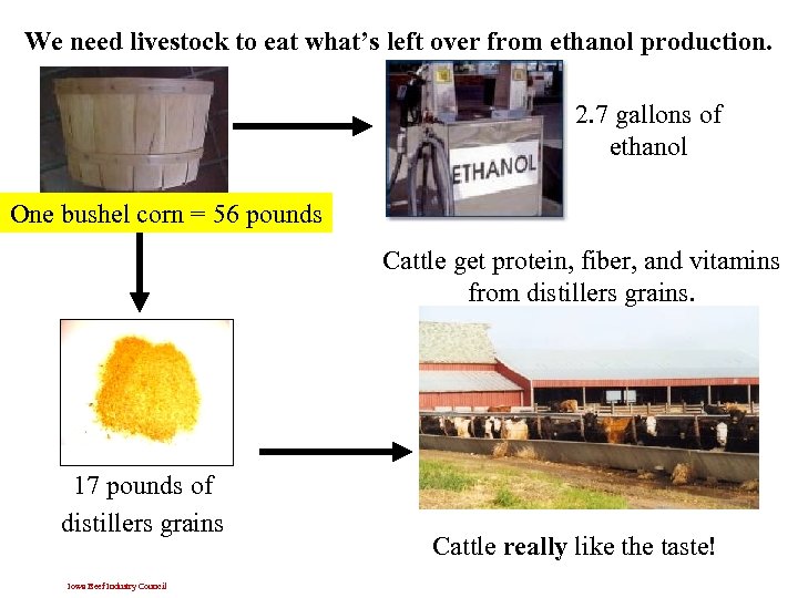We need livestock to eat what’s left over from ethanol production. 2. 7 gallons