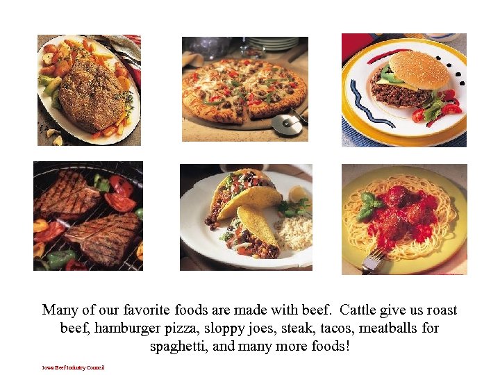 Many of our favorite foods are made with beef. Cattle give us roast beef,