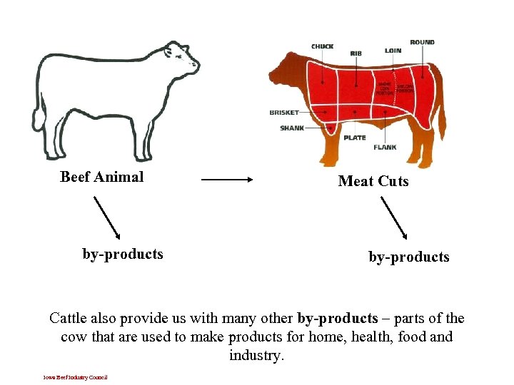 Beef Animal by-products Meat Cuts by-products Cattle also provide us with many other by-products