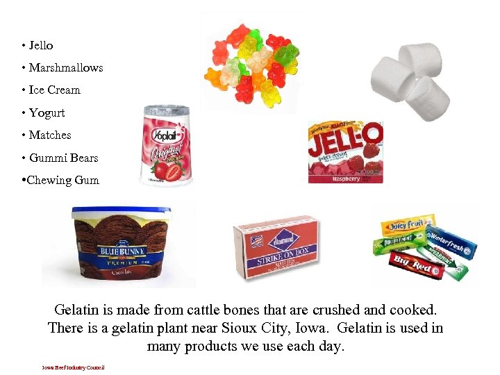  • Jello • Marshmallows • Ice Cream • Yogurt • Matches • Gummi