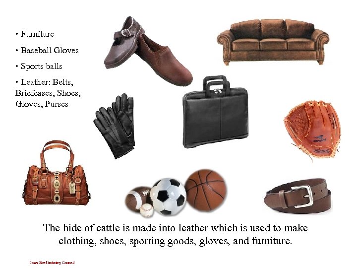  • Furniture • Baseball Gloves • Sports balls • Leather: Belts, Briefcases, Shoes,