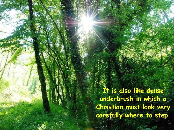 It is also like dense underbrush in which a Christian must look very carefully
