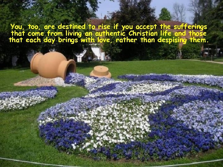 You, too, are destined to rise if you accept the sufferings that come from