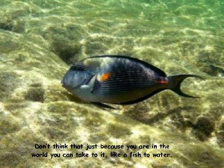 Don’t think that just because you are in the world you can take to