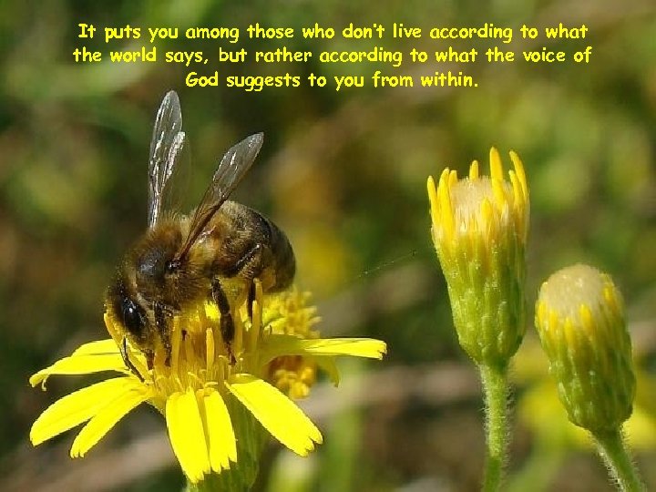 It puts you among those who don’t live according to what the world says,