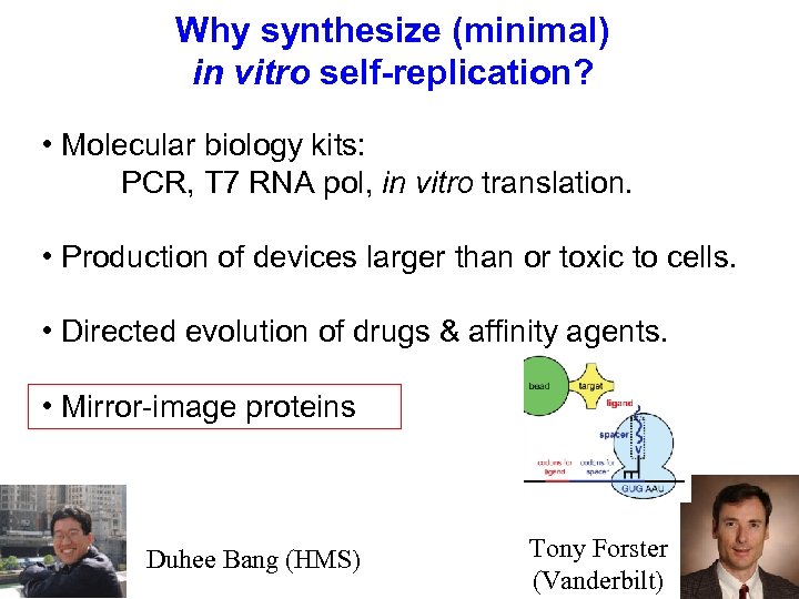 Why synthesize (minimal) in vitro self-replication? • Molecular biology kits: PCR, T 7 RNA