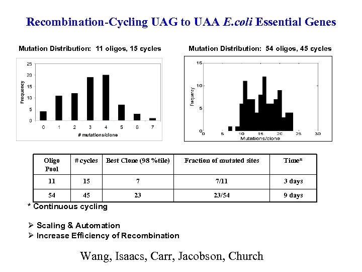 Recombination-Cycling UAG to UAA E. coli Essential Genes Mutation Distribution: 11 oligos, 15 cycles
