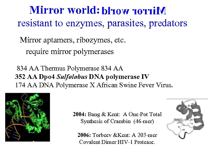 Mirror world: resistant to enzymes, parasites, predators Mirror aptamers, ribozymes, etc. require mirror polymerases