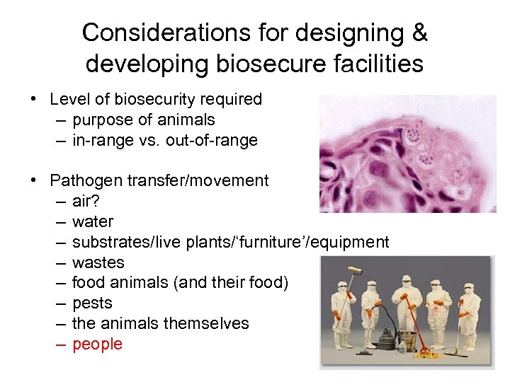 Considerations for designing & developing biosecure facilities • Level of biosecurity required – purpose