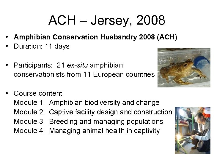 ACH – Jersey, 2008 • Amphibian Conservation Husbandry 2008 (ACH) • Duration: 11 days