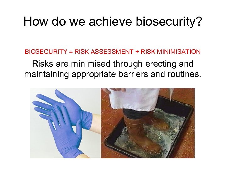 How do we achieve biosecurity? BIOSECURITY = RISK ASSESSMENT + RISK MINIMISATION Risks are