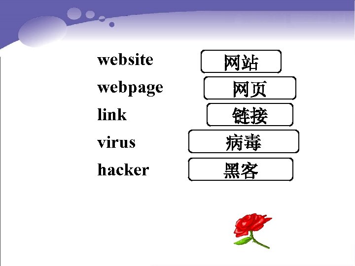 website webpage link 网站 网页 链接 virus 病毒 hacker 黑客 