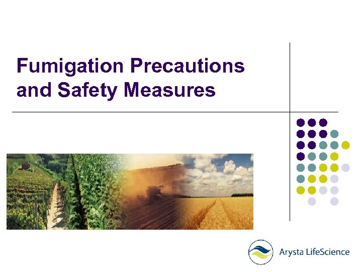 Fumigation Precautions and Safety Measures 