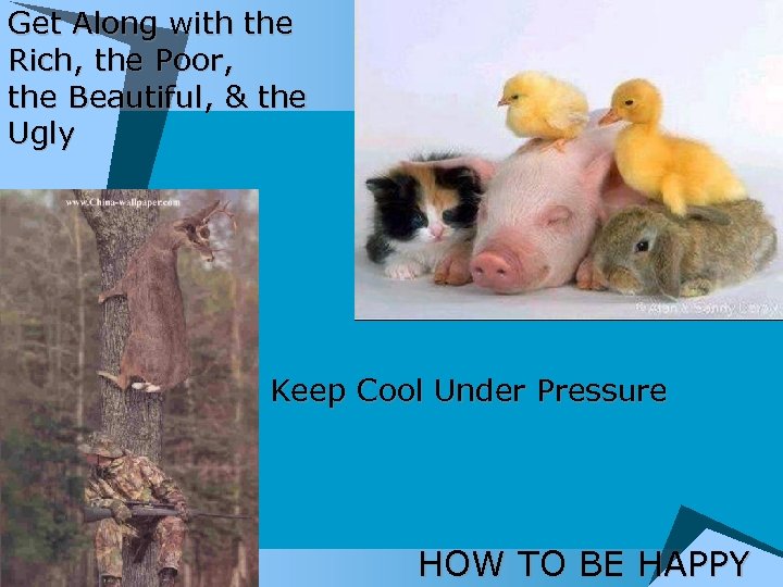 Get Along with the Rich, the Poor, the Beautiful, & the Ugly Keep Cool