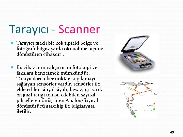 Tarayıcı - Scanner Tarayıcı farklı bir çok tipteki belge ve fotoğrafı bilgisayarda okunabilir biçime