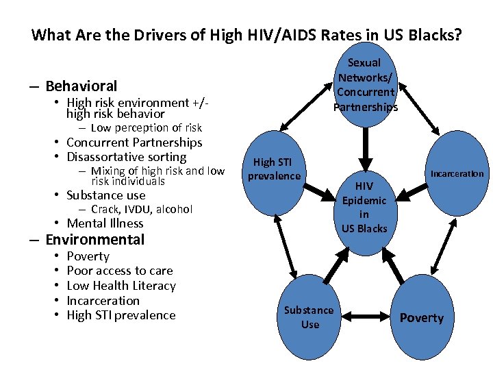 What Are the Drivers of High HIV/AIDS Rates in US Blacks? Sexual Networks/ Concurrent