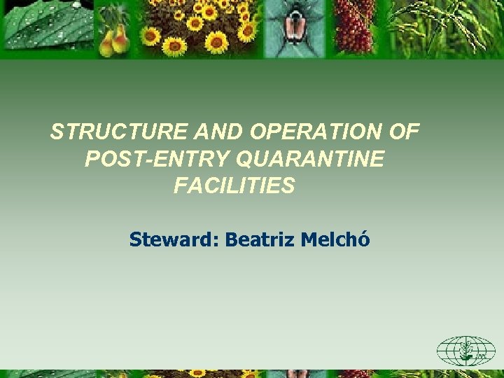 STRUCTURE AND OPERATION OF POST-ENTRY QUARANTINE FACILITIES Steward: Beatriz Melchó 