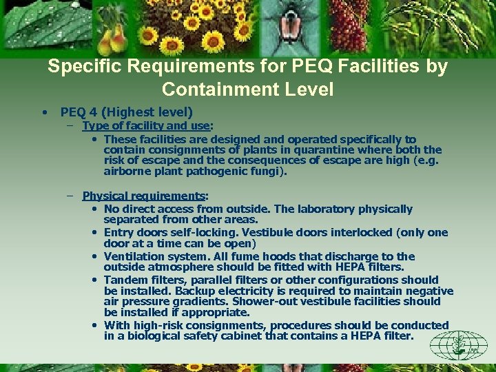 Specific Requirements for PEQ Facilities by Containment Level • PEQ 4 (Highest level) –