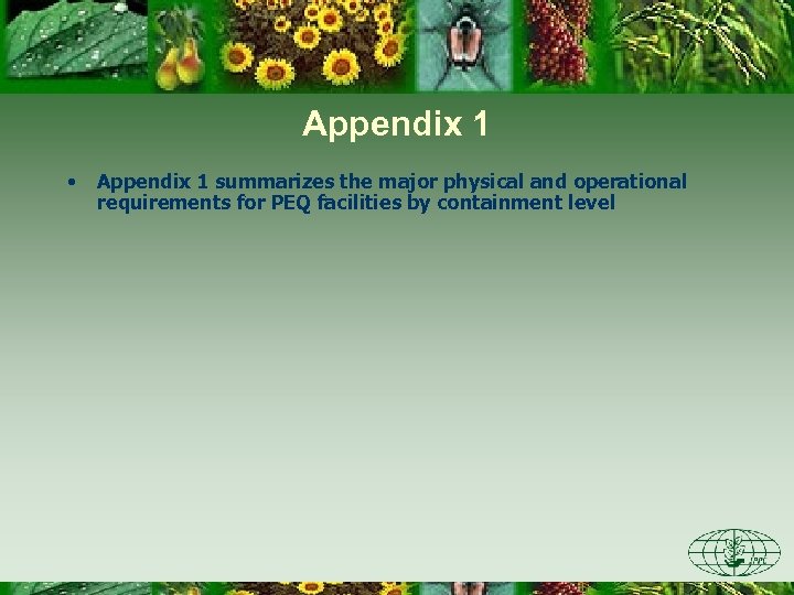 Appendix 1 • Appendix 1 summarizes the major physical and operational requirements for PEQ