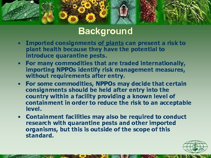 Background • Imported consignments of plants can present a risk to plant health because